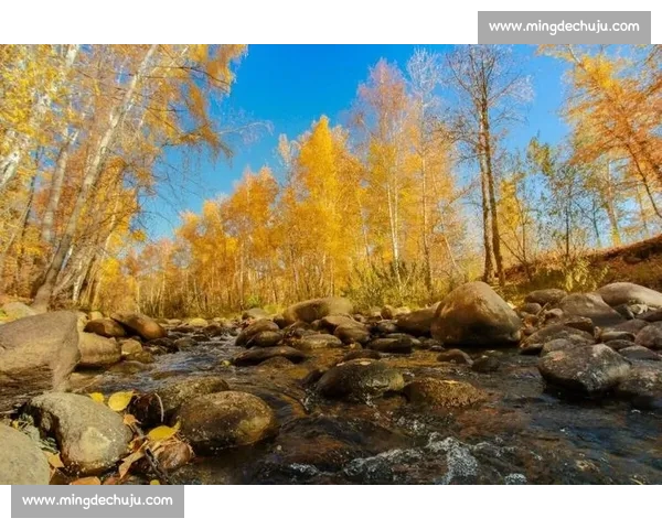 秋日阿勒泰，那束橙色的暖光